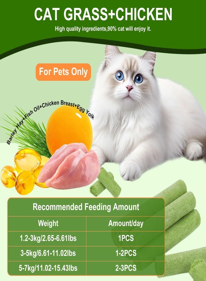 SuPruida 110g Cat Grass Sticks for Indoor Cats, Natural Freeze-Dried Treats, Hairball Treatment, Edible Chew Toy Snack for Teething & Hairball Removal - Image 2